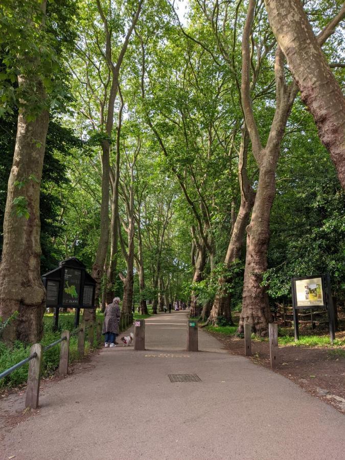Hampstead 19th Century Village Лондон